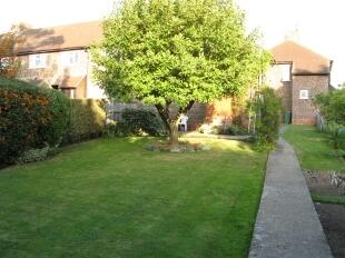 Garden 1