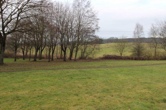 Nearby park to the north