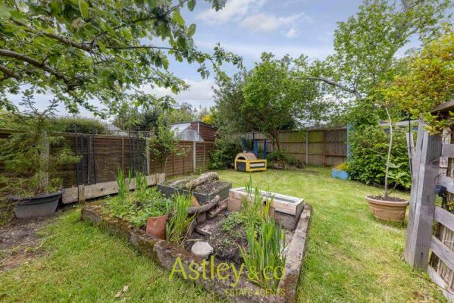 garden