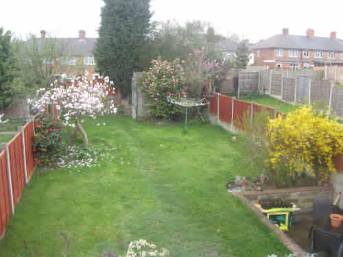 Photo 4