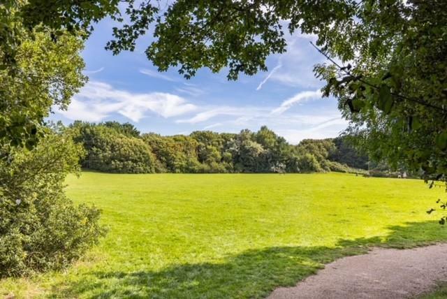 Chatsworth Park