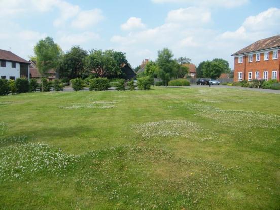 Communal Gardens