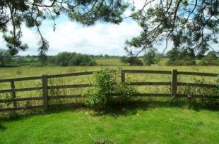 Field Views