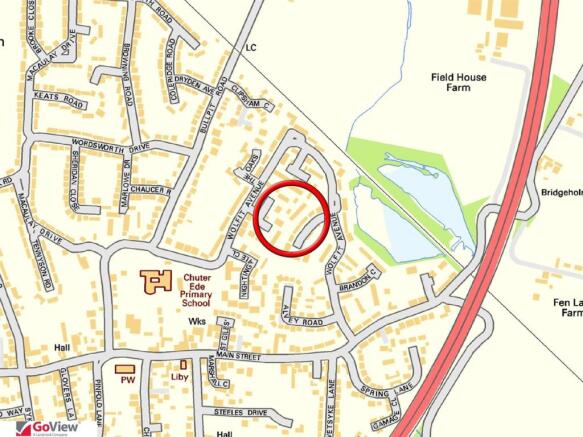 Local Information