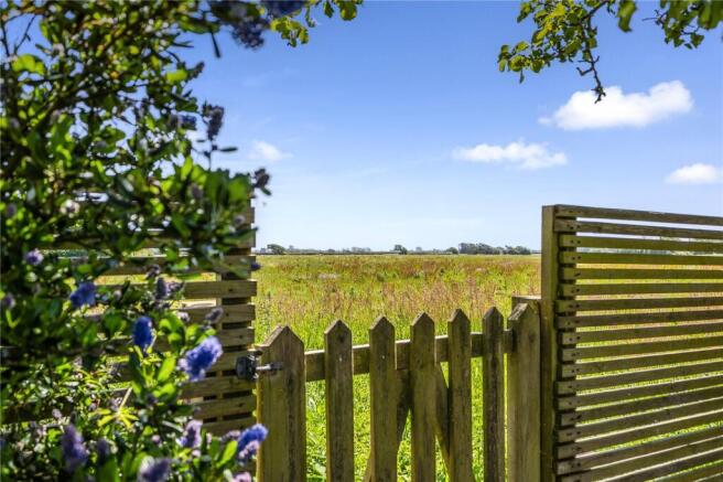 Field Views