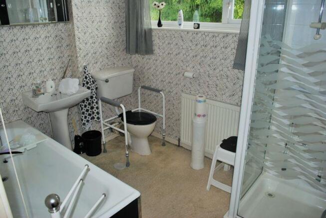 Photo 11