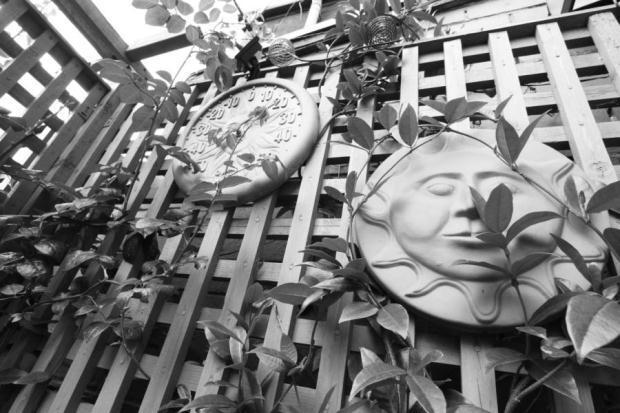 Garden Detail No.2