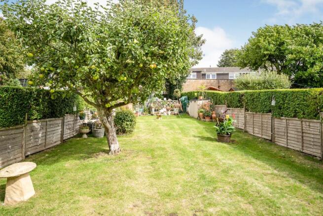 Back Garden