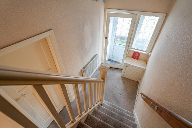 20250310-DSC03255...