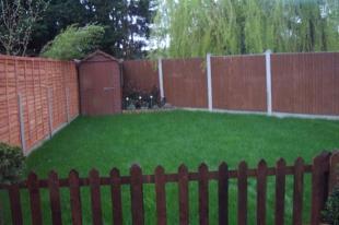 Garden pic 1
