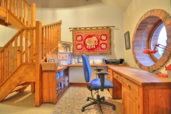 Study Area