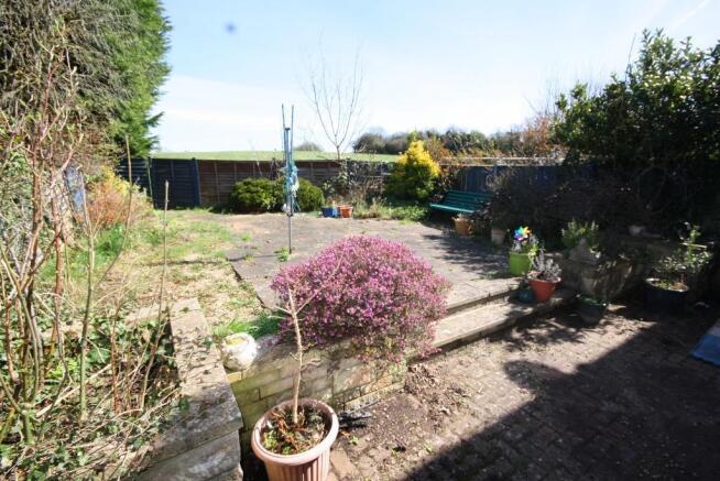 Garden (2) 