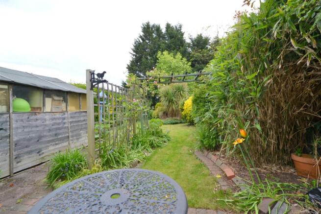 garden1.jpg
