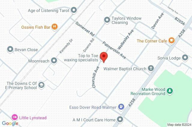 Google Maps Image