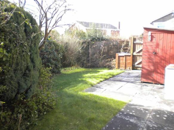 Photo 5