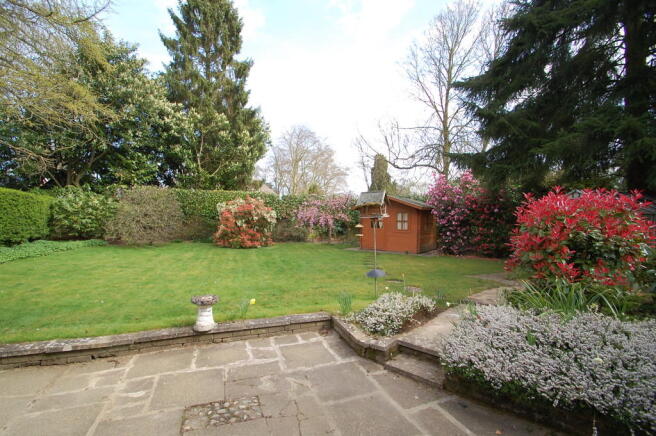 Photo 8