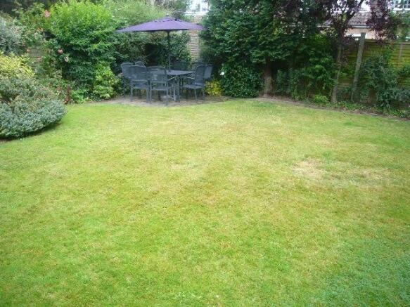 Pretty Garden