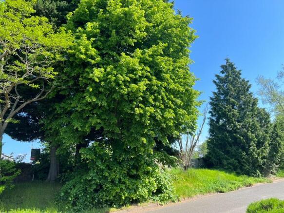 View from front door