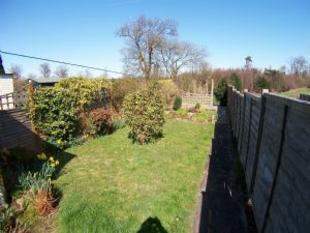rear garden new