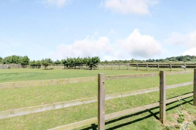 Paddocks to rear