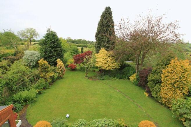 View over garden