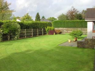 Garden 1