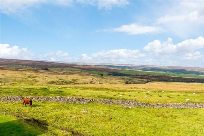 Distant Views
