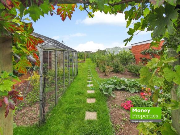 vegetable garden