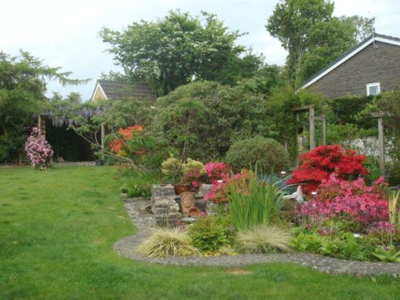 Summer garden
