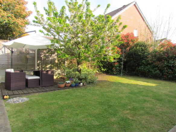Photo 15