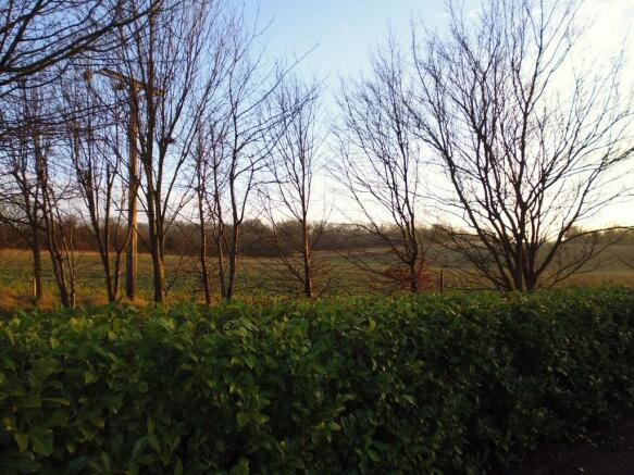 field