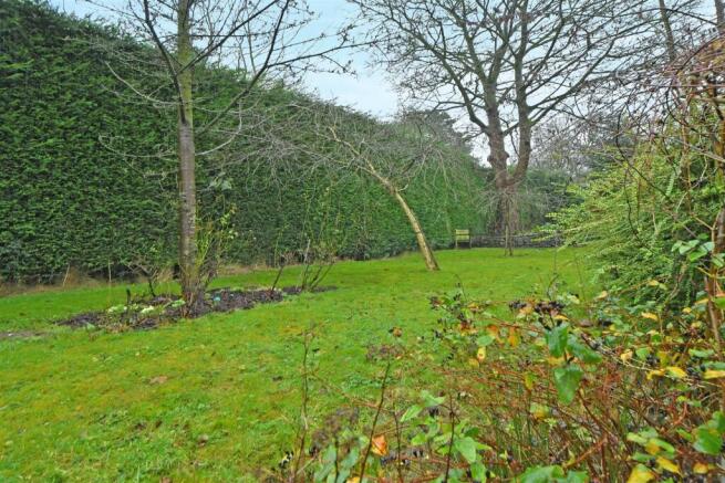 RAH_7011.JPG