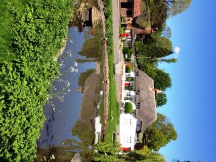 Duck Pond