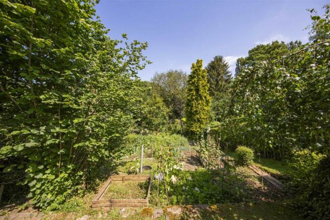 Veggie Patch