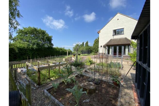 Side Garden