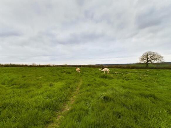 Land