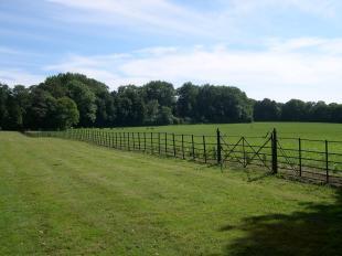 Fields at Rousdon