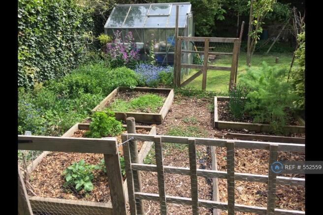 Vegetable Plots With Greenhouse