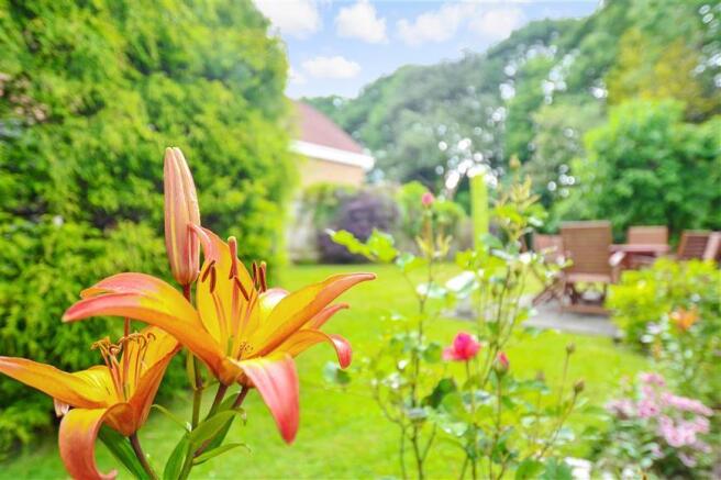 External Lifestyle Photograph