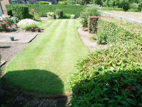Rear Gardens