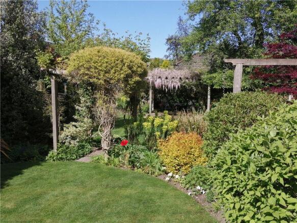 Garden Spring Photo