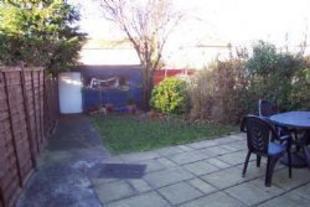 Picture 2