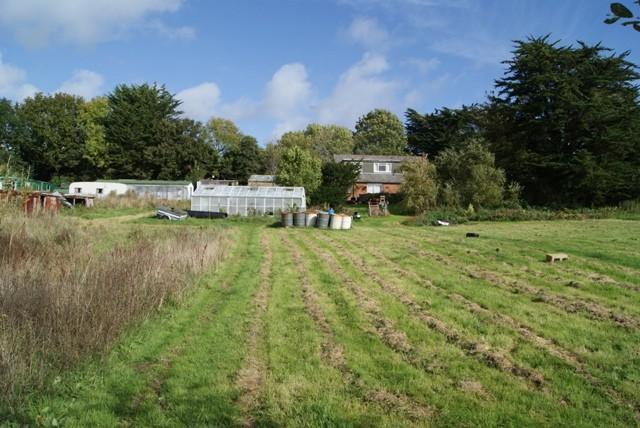 LAND (& HOUSE)
