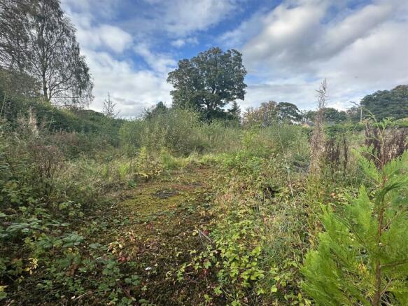 SITE PHOTO