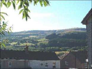view from garden