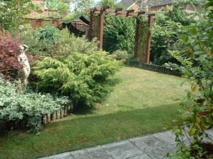 Garden Shot 2
