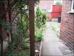 Rear Courtyard
