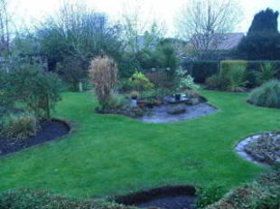 Photo 4
