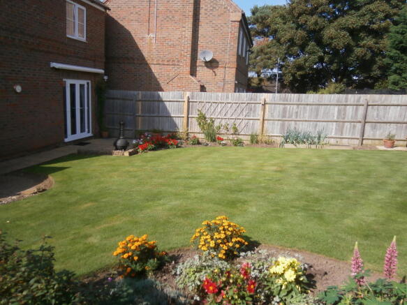 Photo 8