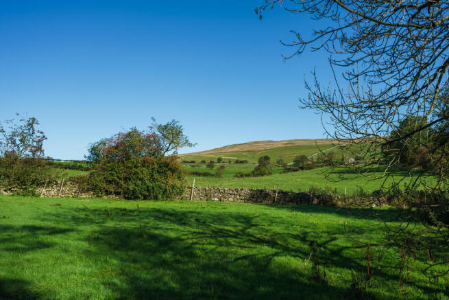 Country Views
